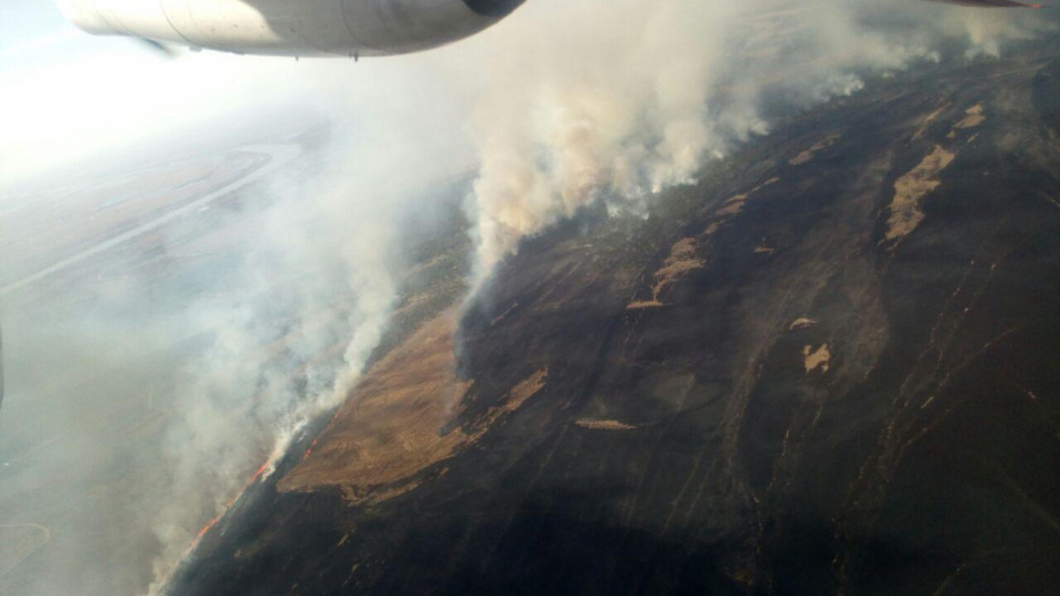 В Одесской области произошел масштабный пожар: к тушению задействовали авиацию