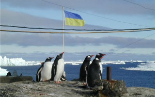 Выборы-2019: в Антарктиде обустроили избирательный участок для украинских полярников