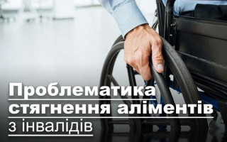 Проблематика стягнення аліментів з інвалідів