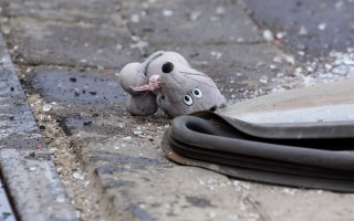 Трагедия во Львове: маршрутка сбила насмерть 10-летнюю школьницу