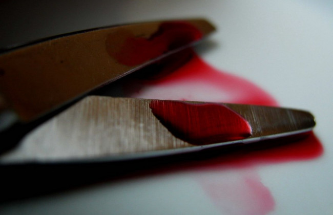 Убив пенсіонера садовими ножицями: трагедія у Львівській області