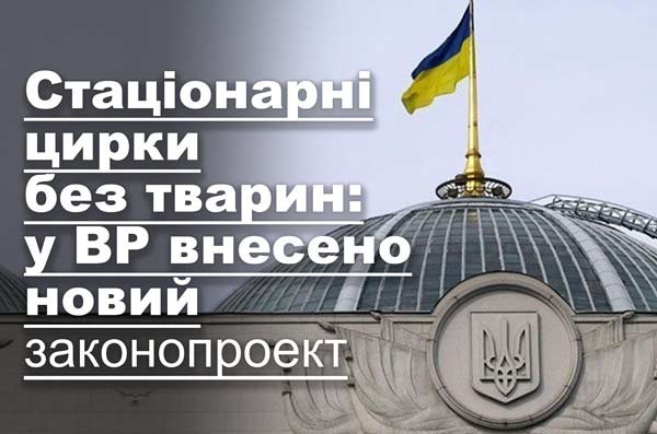 Стаціонарні цирки без тварин: у ВР внесено новий законопроект