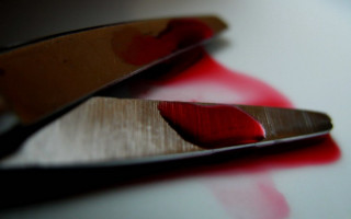 Убив пенсіонера садовими ножицями: трагедія у Львівській області