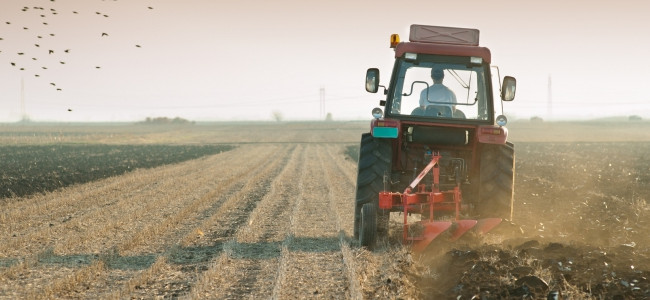 На Волині син холоднокровно вбив власного батька