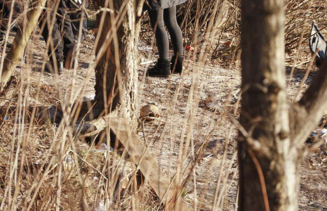 Страшная находка в Киеве: человеческий череп нашли на берегу Днепра