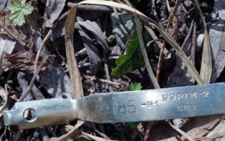 Детали гранаты нашли возле избирательного участка в Тернополе