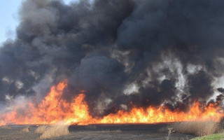 В Николаеве вспыхнул самый мощный в нынешнем году пожар камыша