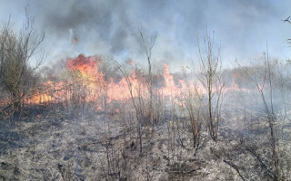 Масштабный пожар на Закарпатье: горело 35 гектаров леса