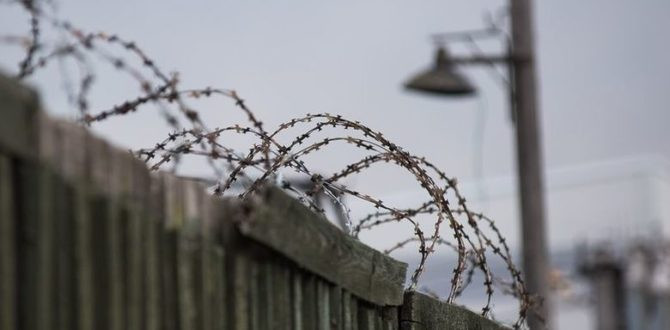 В оккупированном Крыму «украинских диверсантов» приговорили к 14 годам тюрьмы
