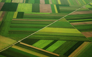 Чи підлягає договір встановлення емфітевзису державній реєстрації: постанова ВС