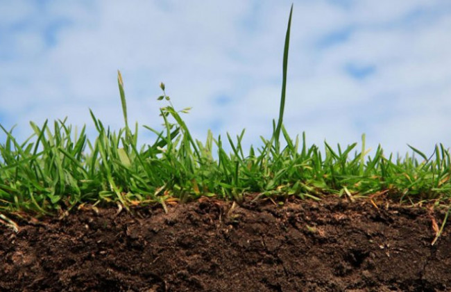 У якому випадку припиняється право землекористування: постанова ВС