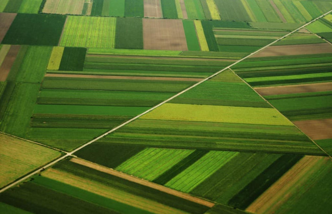 Чи підлягає договір встановлення емфітевзису державній реєстрації: постанова ВС