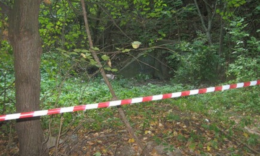 Моторошна знахідка: на Кіровоградщині у лісосмузі знайшли скелетований труп