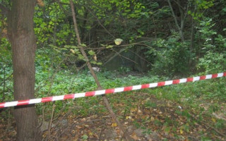 Моторошна знахідка: на Кіровоградщині у лісосмузі знайшли скелетований труп