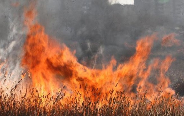 Трагедия в Житомирской области: супружеская пара погибла, сжигая траву