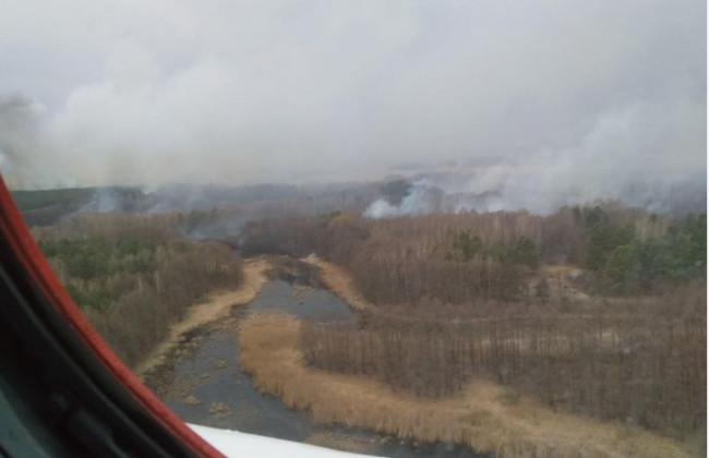 Масштабный пожар в Черниговской области: горел камыш
