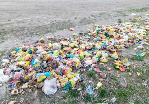 Тысячи хлебов в поле: Ровенскую область поразила странная находка