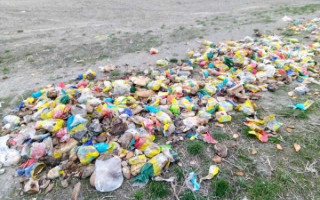 Тысячи хлебов в поле: Ровенскую область поразила странная находка