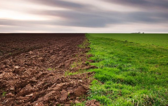 Под Киевом на предприятие напали рейдеры: есть подробности