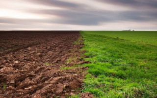 Под Киевом на предприятие напали рейдеры: есть подробности