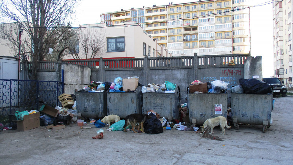 Моторошна знахідка: пакет з трупами знайшов собака на смітнику у Києві