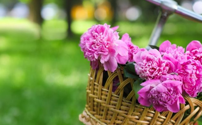 Вихідні у травні: скільки і коли відпочиватимуть кияни