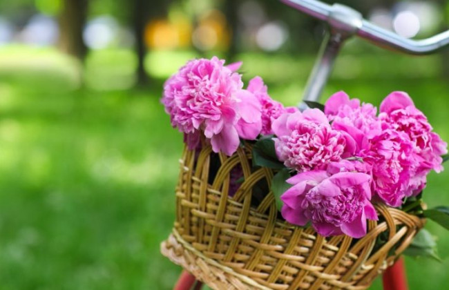 Выходные на Пасху и майские праздники: сколько будут отдыхать украинцы