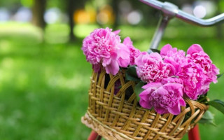 Выходные на Пасху и майские праздники: сколько будут отдыхать украинцы