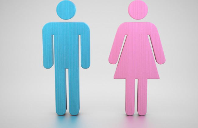 «Гендерный паспорт Киева»: какие изменения ждут киевлян