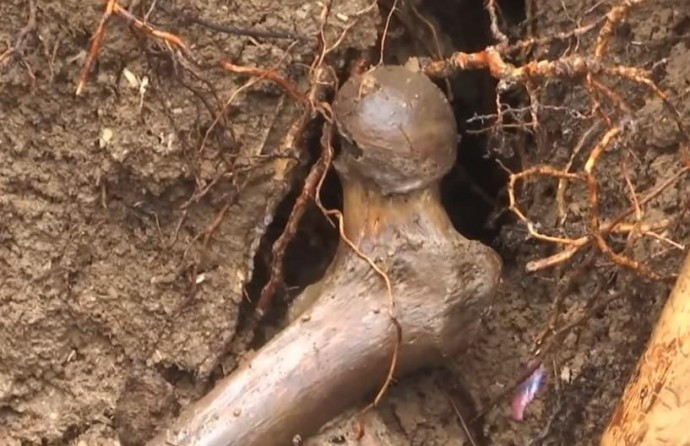 Студенти у Вінниці знайшли людські останки в парку