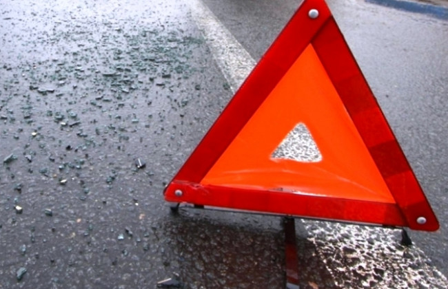 На трассе Киев — Чоп из-за лося произошло смертельное ДТП: подробности и фото