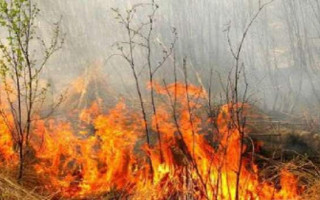 Пожежа на Рівненщині: горить один з найбільших в Україні природних заповідників