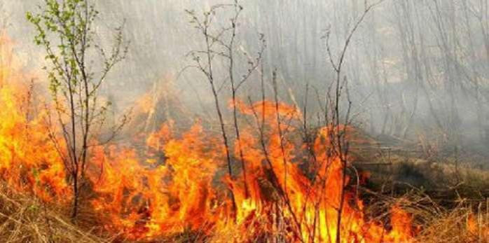 Пожежа на Рівненщині: горить один з найбільших в Україні природних заповідників