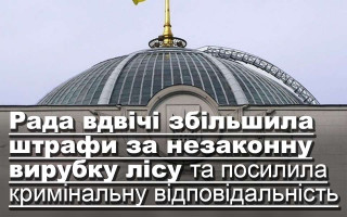 Рада вдвічі збільшила штрафи за незаконну вирубку лісу та посилила кримінальну відповідальність