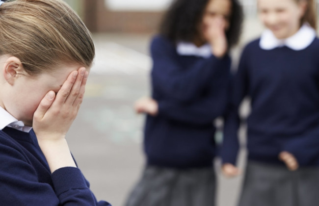 Булінг: правове регулювання та судова практика