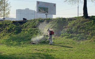 Киевлянам на заметку: три парка обработали от клещей