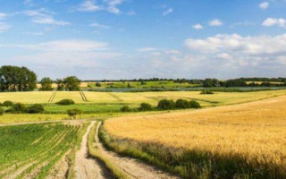 Земельна справа: суд прийняв рішення на користь орендаря