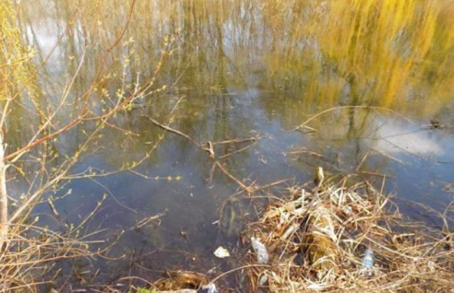 Трагедия под Винницой: неизвестные зарубили женщину, которая знала о другом преступлении