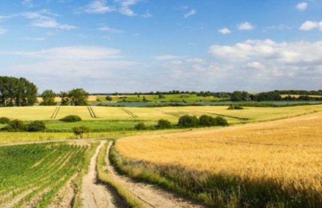 Земельна справа: суд прийняв рішення на користь орендаря