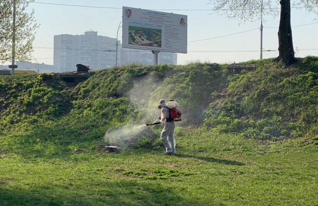 Киевлянам на заметку: три парка обработали от клещей