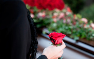 Использование искусственных цветов на кладбищах: киевлянам сделали важное сообщение