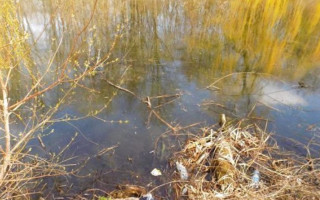 Трагедия под Винницой: неизвестные зарубили женщину, которая знала о другом преступлении