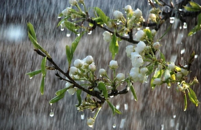 Грози та шквали: яку погоду очікувати українцям  в травні