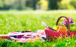 Супрун рассказала, как нужно питаться и употреблять алкоголь на майские праздники