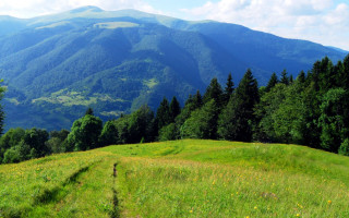 Туристи з Польщі загубилися в Карпатах: всі подробиці