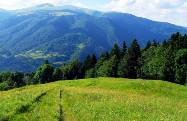 Туристи з Польщі загубилися в Карпатах: всі подробиці