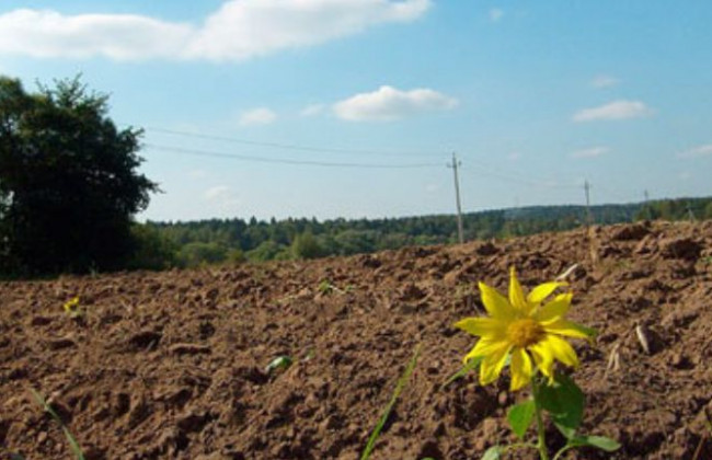 Скасування рішення щодо держреєстрації права оренди землі: роз’яснення Великої Палати ВС