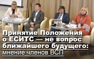 Принятие Положения о ЕСИТС  — не вопрос ближайшего будущего: мнение членов ВСП