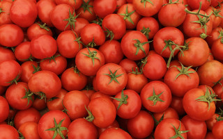 Небезпечний вантаж з Туреччини: в Україну не пустили партію заражених помідорів