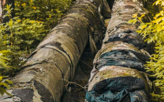 Смертельный пожар в Киеве: появились подробности